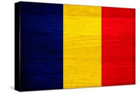 Romania Flag Design with Wood Patterning - Flags of the World Series-Philippe Hugonnard-Stretched Canvas