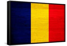 Romania Flag Design with Wood Patterning - Flags of the World Series-Philippe Hugonnard-Framed Stretched Canvas