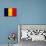 Romania Flag Design with Wood Patterning - Flags of the World Series-Philippe Hugonnard-Mounted Art Print displayed on a wall