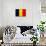 Romania Flag Design with Wood Patterning - Flags of the World Series-Philippe Hugonnard-Art Print displayed on a wall
