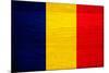 Romania Flag Design with Wood Patterning - Flags of the World Series-Philippe Hugonnard-Mounted Art Print