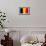 Romania Flag Design with Wood Patterning - Flags of the World Series-Philippe Hugonnard-Framed Premium Giclee Print displayed on a wall