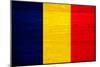 Romania Flag Design with Wood Patterning - Flags of the World Series-Philippe Hugonnard-Mounted Premium Giclee Print