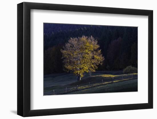 Romania Landscape II-Art Wolfe-Framed Photographic Print