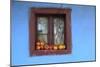 Romania, Maramures County, Dobricu Lapusului. Farm Window with apples.-Emily Wilson-Mounted Photographic Print