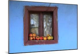 Romania, Maramures County, Dobricu Lapusului. Farm Window with apples.-Emily Wilson-Mounted Photographic Print