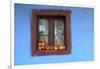 Romania, Maramures County, Dobricu Lapusului. Farm Window with apples.-Emily Wilson-Framed Photographic Print