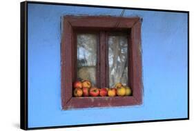 Romania, Maramures County, Dobricu Lapusului. Farm Window with apples.-Emily Wilson-Framed Stretched Canvas