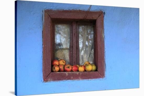 Romania, Maramures County, Dobricu Lapusului. Farm Window with apples.-Emily Wilson-Stretched Canvas