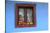 Romania, Maramures County, Dobricu Lapusului. Farm Window with apples.-Emily Wilson-Stretched Canvas