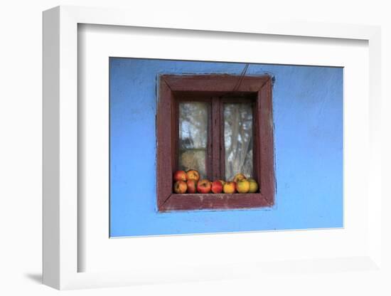 Romania, Maramures County, Dobricu Lapusului. Farm Window with apples.-Emily Wilson-Framed Photographic Print