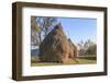 Romania, Maramures County, Dobricu Lapusului. Hay stacks.-Emily Wilson-Framed Photographic Print