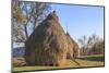 Romania, Maramures County, Dobricu Lapusului. Hay stacks.-Emily Wilson-Mounted Photographic Print