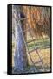 Romania, Maramures County, Dobricu Lapusului. Rustic farm ladder.-Emily Wilson-Framed Stretched Canvas