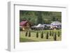 Romania, Maramures Region, Rona de Jos, Village View with Haystacks-Walter Bibikow-Framed Photographic Print