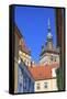 Romania, Mures County, Sighisoara, clock tower, symbol of the town.-Emily Wilson-Framed Stretched Canvas