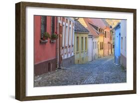 Romania, Sighisoara, cobblestone residential street of colorful houses in village.-Emily Wilson-Framed Photographic Print