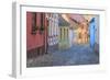 Romania, Sighisoara, cobblestone residential street of colorful houses in village.-Emily Wilson-Framed Photographic Print