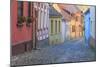 Romania, Sighisoara, cobblestone residential street of colorful houses in village.-Emily Wilson-Mounted Photographic Print