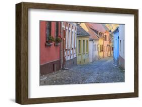 Romania, Sighisoara, cobblestone residential street of colorful houses in village.-Emily Wilson-Framed Photographic Print