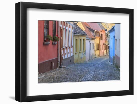 Romania, Sighisoara, cobblestone residential street of colorful houses in village.-Emily Wilson-Framed Photographic Print