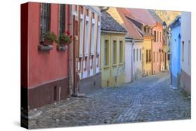 Romania, Sighisoara, cobblestone residential street of colorful houses in village.-Emily Wilson-Stretched Canvas