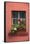 Romania, Sighisoara, residential window in old town. Flowers in window.-Emily Wilson-Framed Stretched Canvas