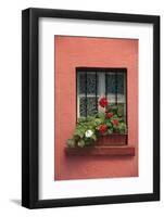 Romania, Sighisoara, residential window in old town. Flowers in window.-Emily Wilson-Framed Photographic Print