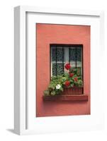 Romania, Sighisoara, residential window in old town. Flowers in window.-Emily Wilson-Framed Photographic Print