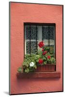 Romania, Sighisoara, residential window in old town. Flowers in window.-Emily Wilson-Mounted Photographic Print