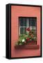 Romania, Sighisoara, residential window in old town. Flowers in window.-Emily Wilson-Framed Stretched Canvas