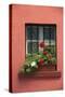 Romania, Sighisoara, residential window in old town. Flowers in window.-Emily Wilson-Stretched Canvas