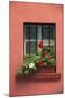 Romania, Sighisoara, residential window in old town. Flowers in window.-Emily Wilson-Mounted Photographic Print