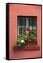 Romania, Sighisoara, residential window in old town. Flowers in window.-Emily Wilson-Framed Stretched Canvas