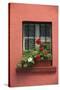 Romania, Sighisoara, residential window in old town. Flowers in window.-Emily Wilson-Stretched Canvas