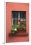 Romania, Sighisoara, residential window in old town. Flowers in window.-Emily Wilson-Framed Photographic Print