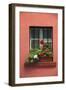 Romania, Sighisoara, residential window in old town. Flowers in window.-Emily Wilson-Framed Photographic Print