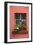 Romania, Sighisoara, residential window in old town. Flowers in window.-Emily Wilson-Framed Photographic Print