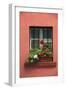 Romania, Sighisoara, residential window in old town. Flowers in window.-Emily Wilson-Framed Photographic Print