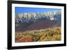 Romania, Transylvania, Carpathian Mountains, Magura, Fall Colors.-Emily Wilson-Framed Photographic Print