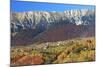 Romania, Transylvania, Carpathian Mountains, Magura, Fall Colors.-Emily Wilson-Mounted Photographic Print