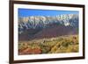 Romania, Transylvania, Carpathian Mountains, Magura, Fall Colors.-Emily Wilson-Framed Photographic Print