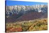 Romania, Transylvania, Carpathian Mountains, Magura, Fall Colors.-Emily Wilson-Stretched Canvas