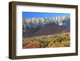 Romania, Transylvania, Carpathian Mountains, Magura, Fall Colors.-Emily Wilson-Framed Photographic Print