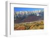 Romania, Transylvania, Carpathian Mountains, Magura, Fall Colors.-Emily Wilson-Framed Photographic Print