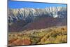 Romania, Transylvania, Carpathian Mountains, Magura, Fall Colors.-Emily Wilson-Mounted Photographic Print