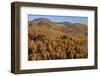 Romania, Transylvania, Carpathian Mountains, Magura, Fall Colors.-Emily Wilson-Framed Photographic Print