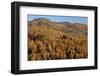 Romania, Transylvania, Carpathian Mountains, Magura, Fall Colors.-Emily Wilson-Framed Photographic Print