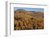 Romania, Transylvania, Carpathian Mountains, Magura, Fall Colors.-Emily Wilson-Framed Photographic Print