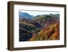 Romania, Transylvania, Carpathian Mountains, Magura, Fall Colors.-Emily Wilson-Framed Photographic Print